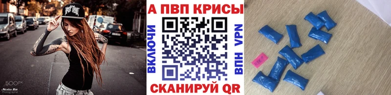 Альфа ПВП СК КРИС  Избербаш 