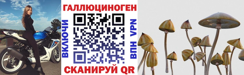 Псилоцибиновые грибы прущие грибы цены Избербаш