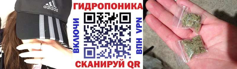 Бошки марихуана марихуана  Избербаш 